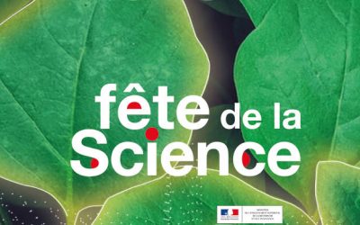 Jeudi 10 et vendredi 11 octobre, de 9 h à 17 h