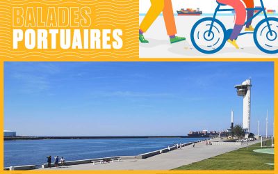 Le Havre, un grand port de commerce depuis 500 ans – 29 juillet 2020 – Complète